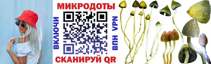 Купить закладки  Константиновск  Псилоцибиновые грибы Magic Shrooms 